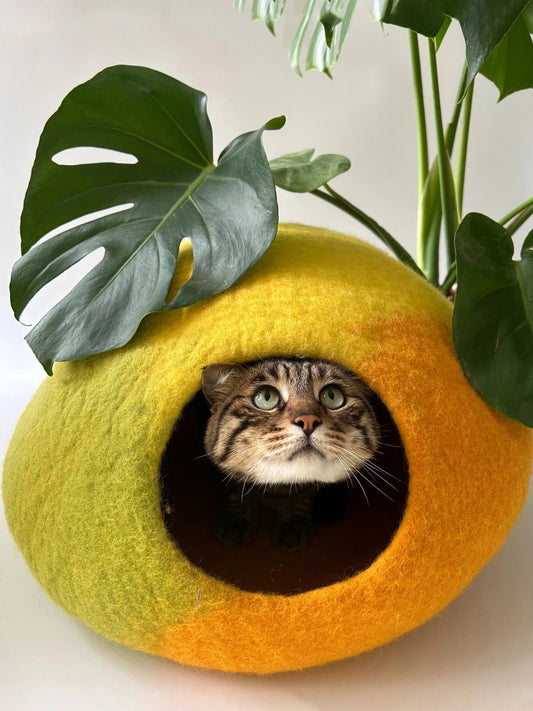 Lemon Drop Handmade Cat Caves