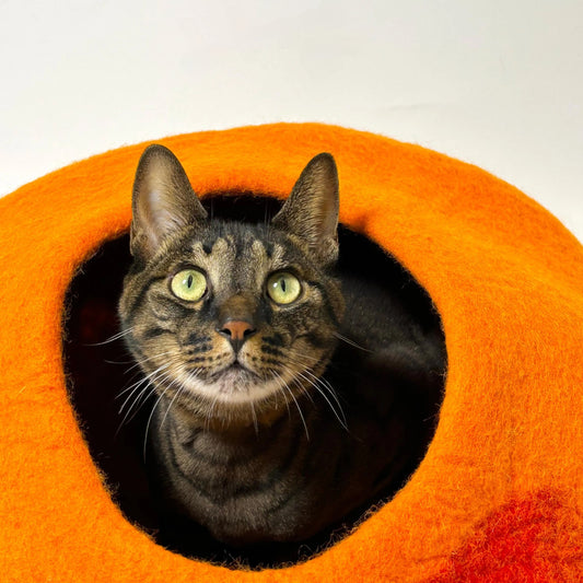 Tangerine Dreams Handmade Cat Caves