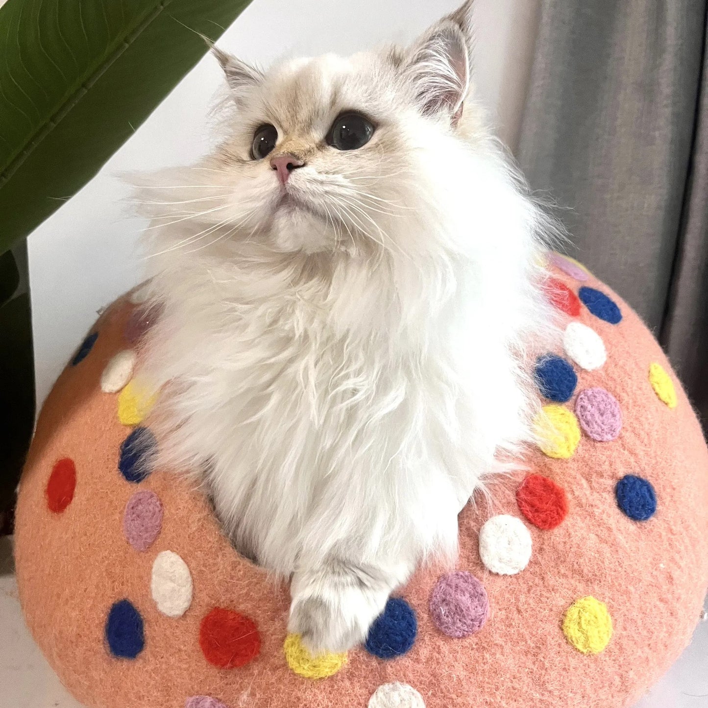 Cotton Candy Handmade Cat Caves